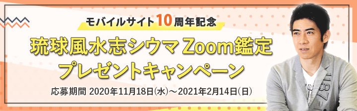 Zoom�Ӓ�v���[���g